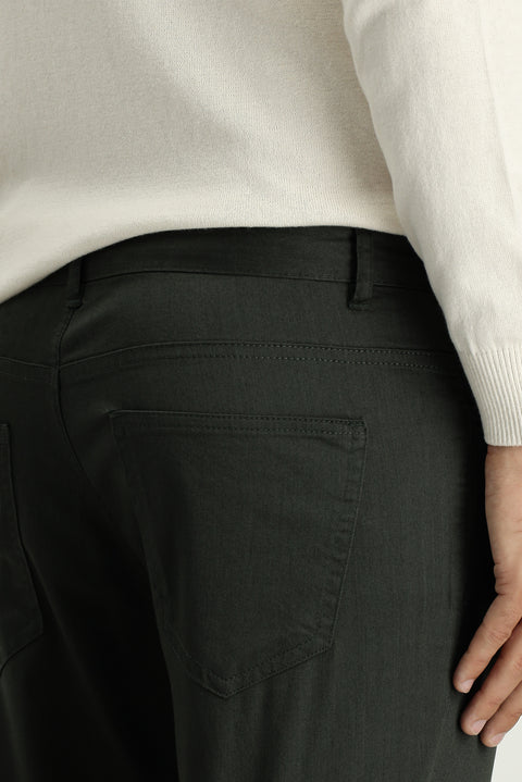 Dark Haki Regular Fit Standard Cut Lycra Canvas / Chino Trousers