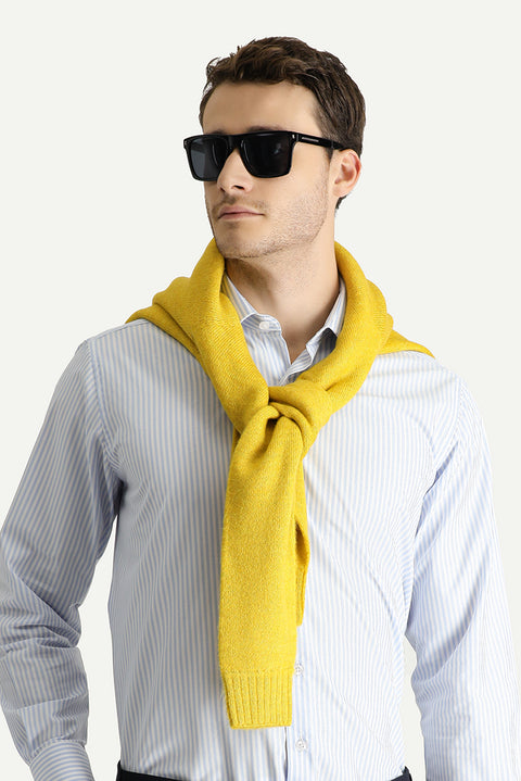 Light Blue Long Sleeve Classic Striped Cotton Shirt