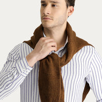 Blue Long Sleeve Slim Fit Striped Cotton Easy-Iron Shirt