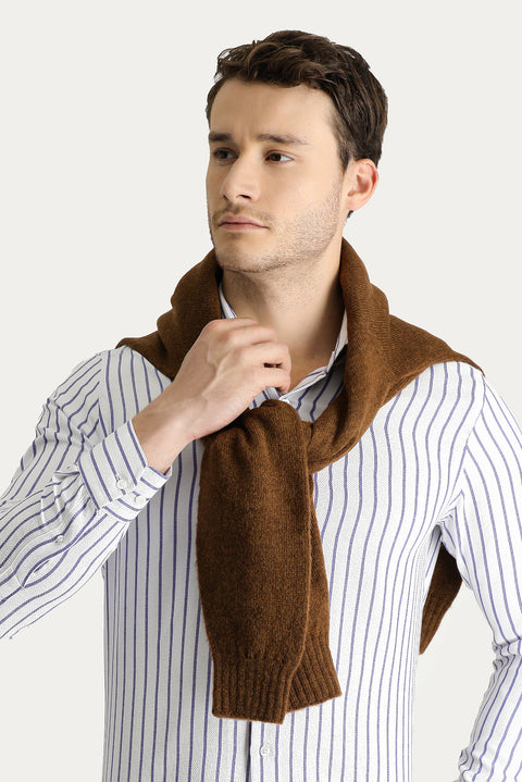 Blue Long Sleeve Slim Fit Striped Cotton Easy-Iron Shirt