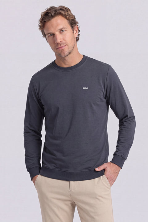 Koyu Füme Bisiklet Yaka Regular Fit Nakışlı Basic İnce Sweatshirt
