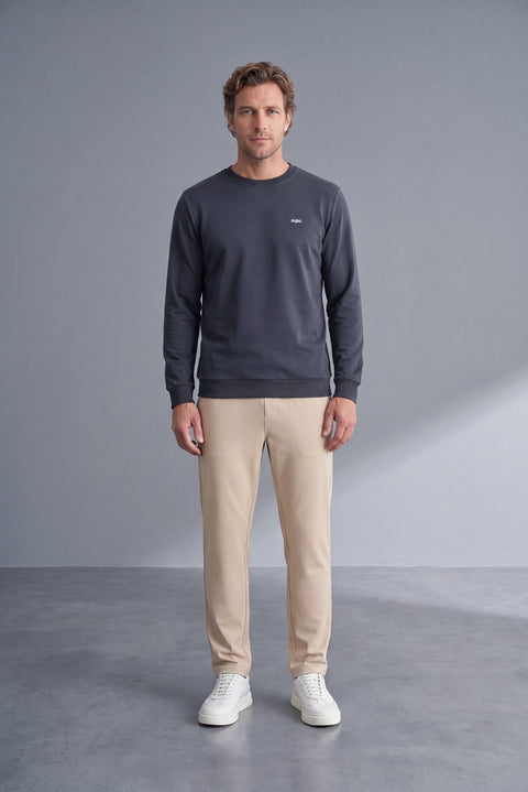 Koyu Füme Bisiklet Yaka Regular Fit Nakışlı Basic İnce Sweatshirt