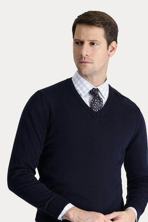 Dark Navy V-Neck Regular Fit Cotton Knit Sweater