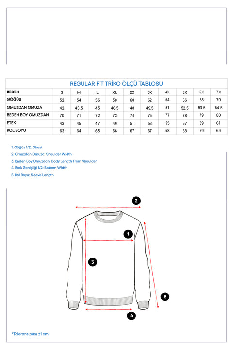 Kiremit Bisiklet Yaka Regular Fit Pamuklu Triko Kazak