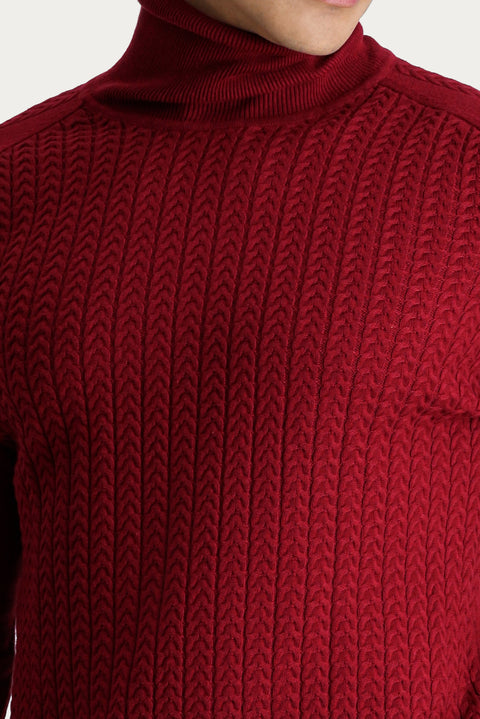 Dark Red Turtleneck Slim Fit Patterned Knit Sweater
