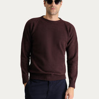 Dark Burgundy Crew Neck Slim Fit Narrow Cut Seamless Patterned Wool Knit Sweater
