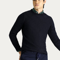 Dark Navy Crew Neck Regular Fit Patterned Knit Sweater