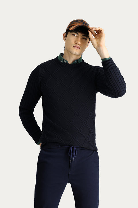 Dark Navy Crew Neck Regular Fit Patterned Knit Sweater