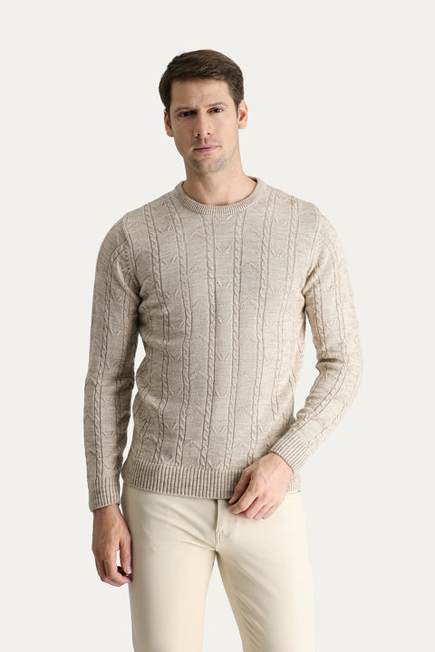 Stone Bicycle Collar Regular Fit Patterned Knit Sweater