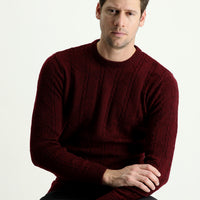 Wine Burgundy Crew Neck Regular Fit Patterned Knit Sweater