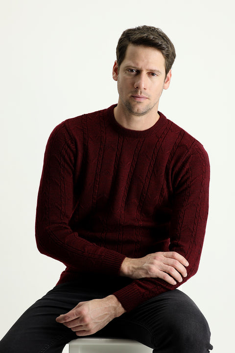 Wine Burgundy Crew Neck Regular Fit Patterned Knit Sweater