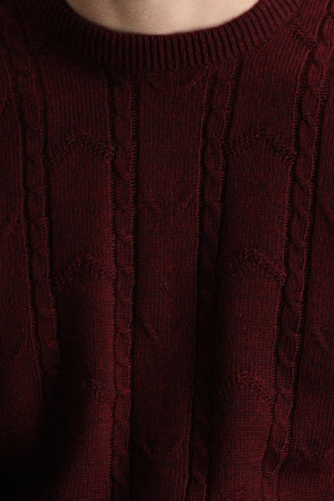 Wine Burgundy Crew Neck Regular Fit Patterned Knit Sweater