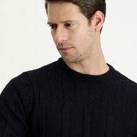 Dark Navy Crew Neck Regular Fit Patterned Knit Sweater