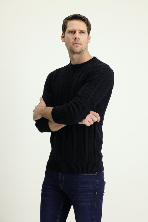 Dark Navy Crew Neck Regular Fit Patterned Knit Sweater