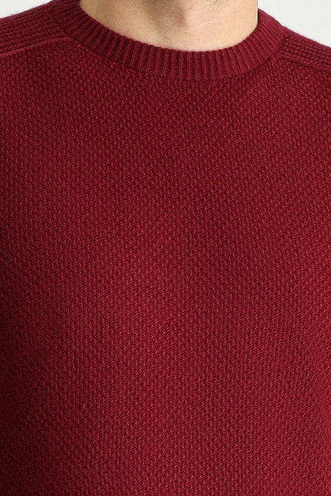 Dark Burgundy Crew Neck Regular Fit Patterned Seamless Knit Sweater