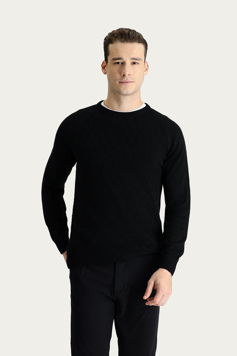 Black Crew Neck Regular Fit Patterned Knit Sweater