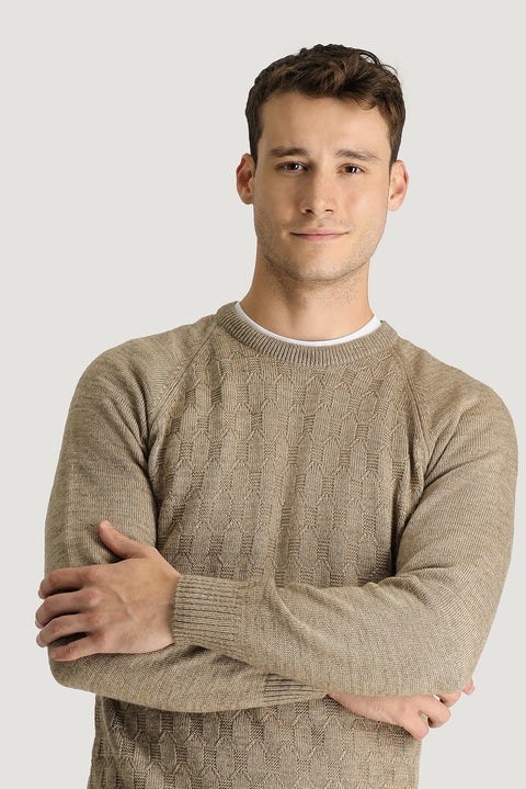 Medium Mink Crew Neck Regular Fit Patterned Knit Sweater