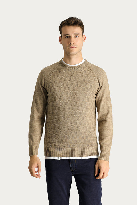 Medium Mink Crew Neck Regular Fit Patterned Knit Sweater