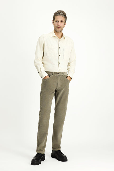 Light Mink Regular Fit Standard Cut Lycra Velvet Trousers