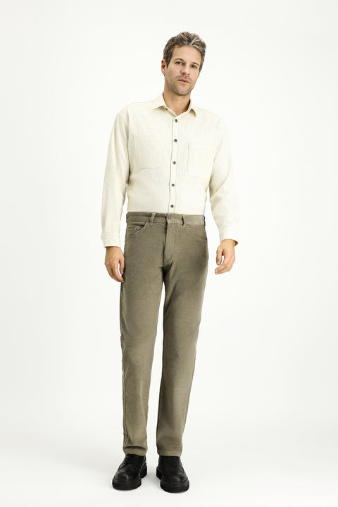 Light Mink Regular Fit Standard Cut Lycra Velvet Trousers