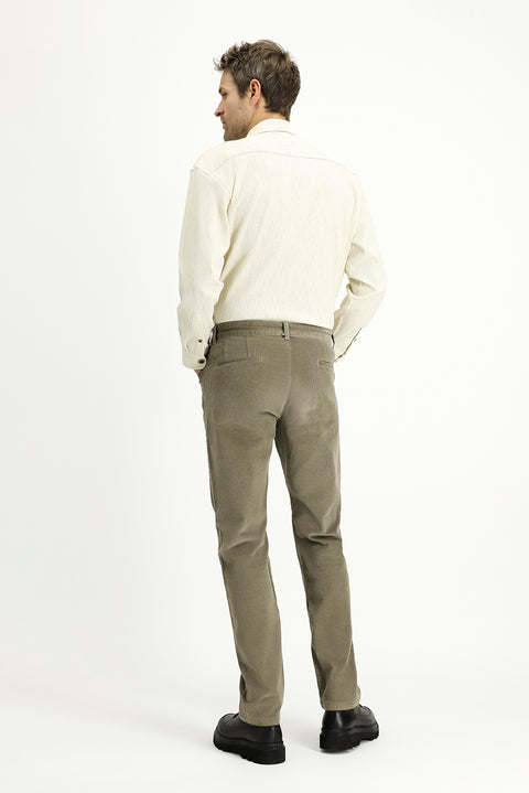 Light Mink Regular Fit Standard Cut Lycra Velvet Trousers