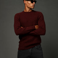 Dark Burgundy Crew Neck Regular Fit Seamless Patterned Knit Sweater
