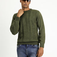 Medium Khaki Crew Neck Regular Fit Patterned Knit Sweater
