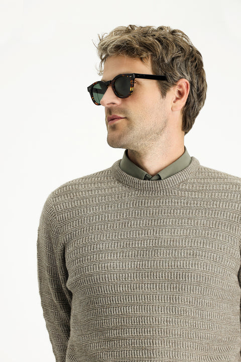 Light Mink Crew Neck Regular Fit Patterned Knit Sweater