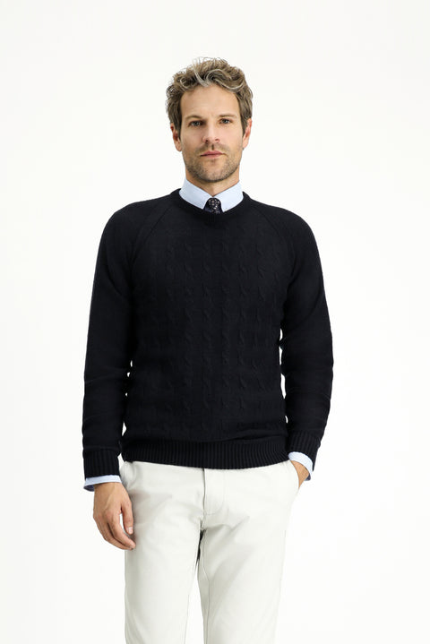 Dark Navy Crew Neck Regular Fit Patterned Knit Sweater