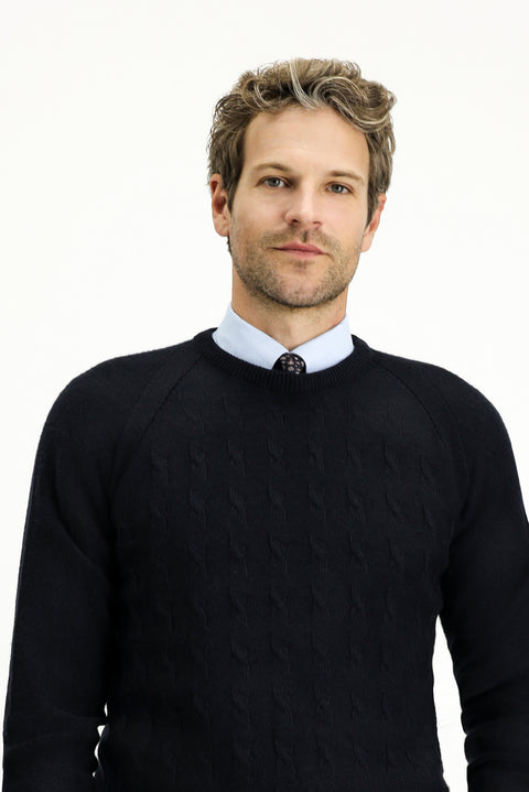 Dark Navy Crew Neck Regular Fit Patterned Knit Sweater