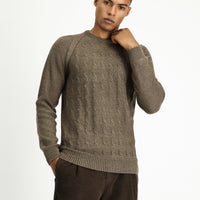 Medium Mink Crew Neck Regular Fit Patterned Knit Sweater