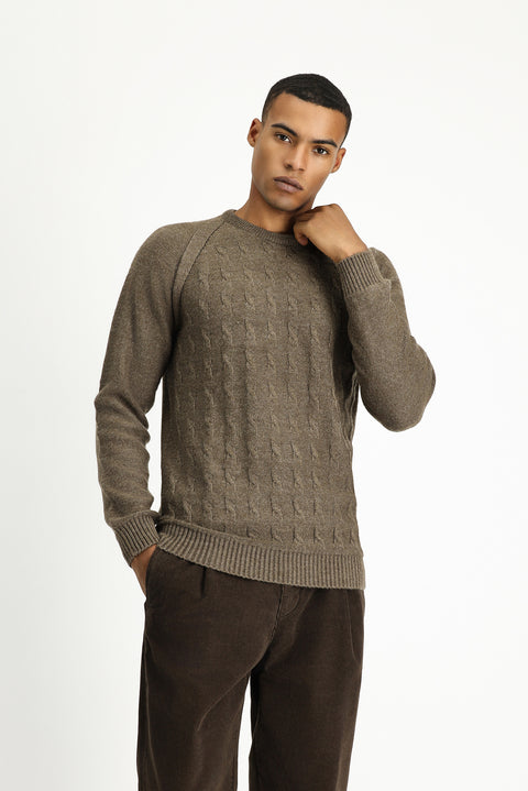 Medium Mink Crew Neck Regular Fit Patterned Knit Sweater