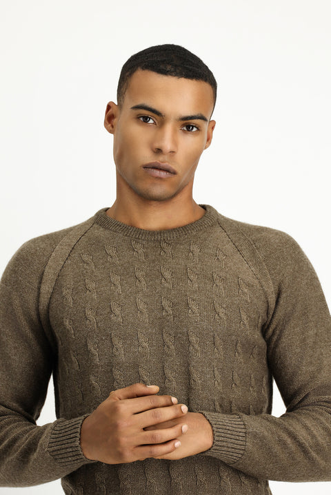 Medium Mink Crew Neck Regular Fit Patterned Knit Sweater