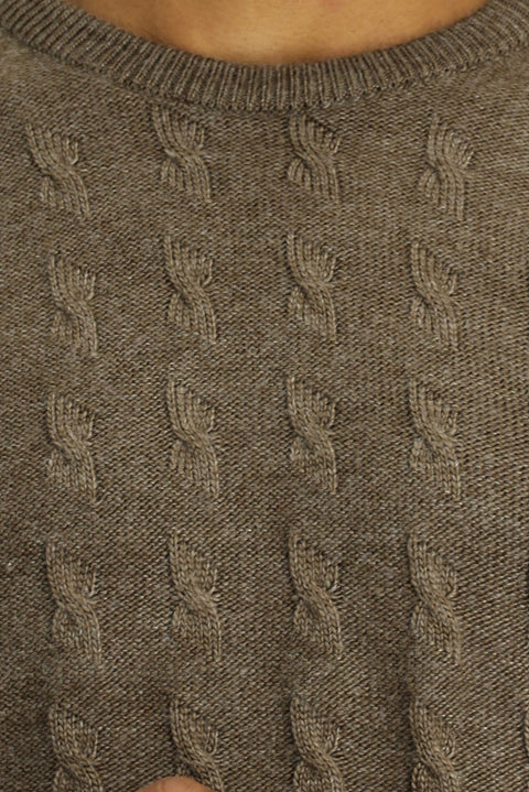 Medium Mink Crew Neck Regular Fit Patterned Knit Sweater