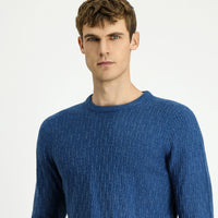 Indigo Crew Neck Regular Fit Patterned Knit Sweater