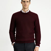 Dark Burgundy Crew Neck Regular Fit Patterned Knit Sweater