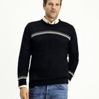 Dark Navy Crew Neck Regular Fit Patterned Knit Sweater