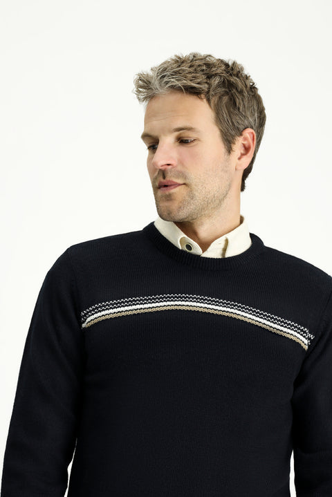 Dark Navy Crew Neck Regular Fit Patterned Knit Sweater