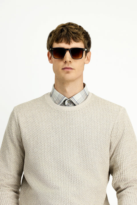 Light Beige Crew Neck Regular Fit Patterned Cotton Sweatshirt