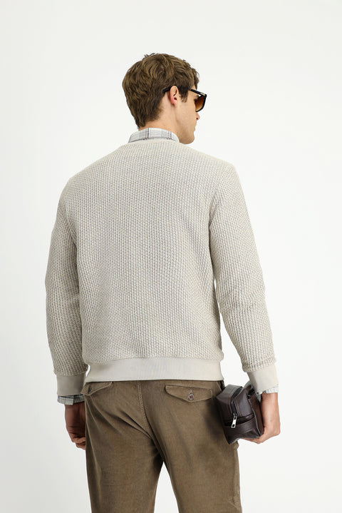 Light Beige Crew Neck Regular Fit Patterned Cotton Sweatshirt