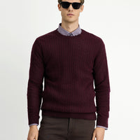 Dark Burgundy Crew Neck Regular Fit Patterned Wool Knit Sweater