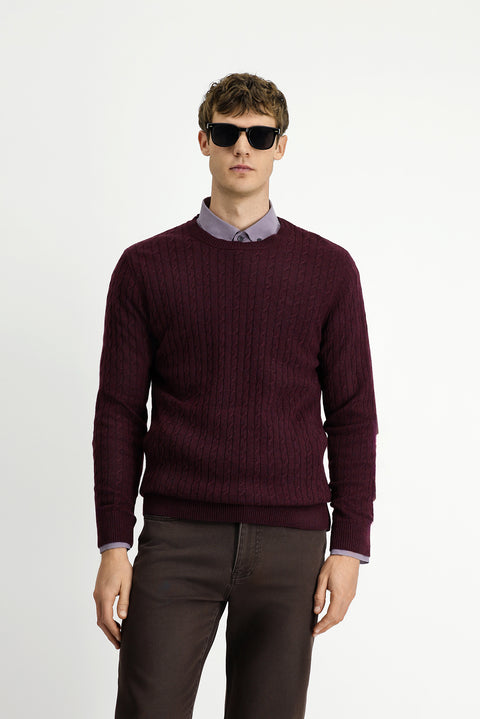 Dark Burgundy Crew Neck Regular Fit Patterned Wool Knit Sweater