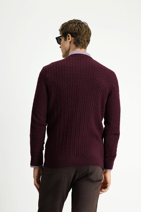Dark Burgundy Crew Neck Regular Fit Patterned Wool Knit Sweater
