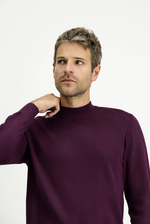 Dark Burgundy Half Turtleneck Regular Fit Cotton Cashmere Knit Sweater