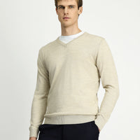 Light Beige V-Neck Regular Fit Warm Wool Knit Sweater