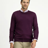 Dark Burgundy Crew Neck Regular Fit Cotton Cashmere Knit Sweater