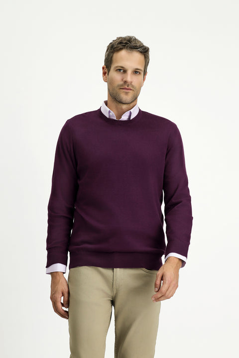 Dark Burgundy Crew Neck Regular Fit Cotton Cashmere Knit Sweater