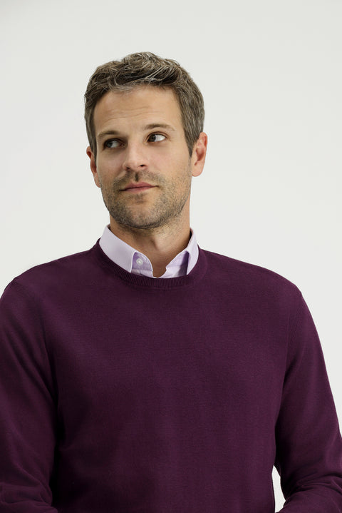 Dark Burgundy Crew Neck Regular Fit Cotton Cashmere Knit Sweater
