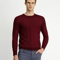 Dark Burgundy Crew Neck Regular Fit Wool Knitted Sweater