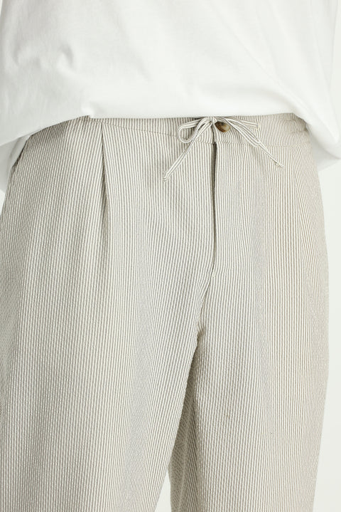 Light Mink 6 Drop Regular Fit Standard Cut Lycra Striped Elastic Waist Drawstring Pleated Classic Fabric Trousers